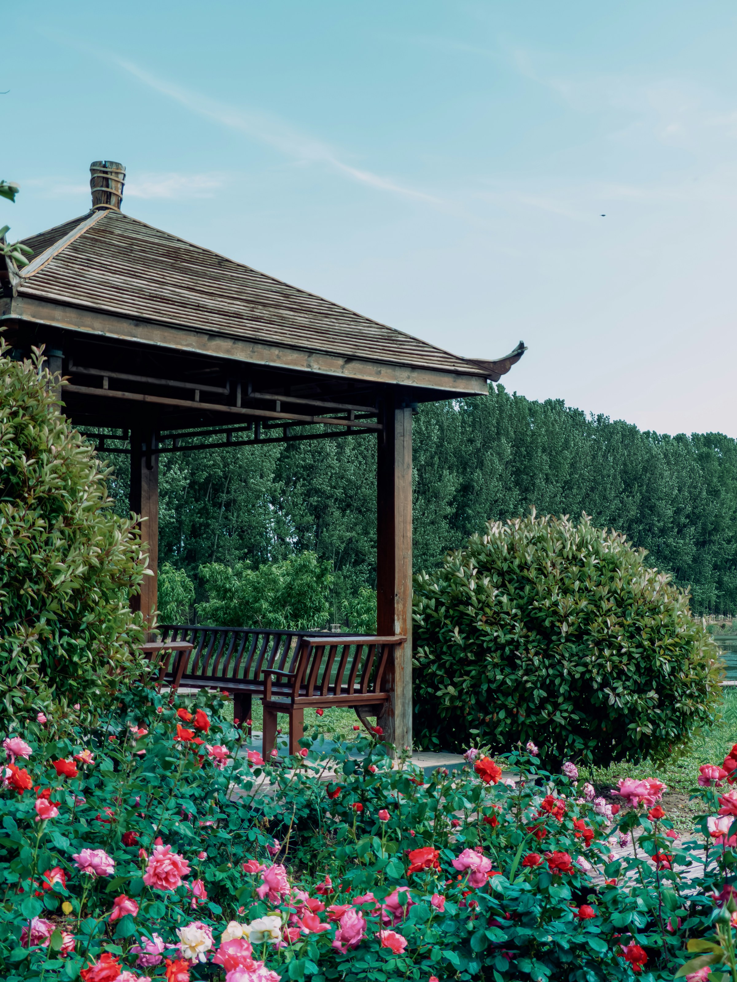 A sheltered wooden garden seat surrounded by flowering plants and living habitat