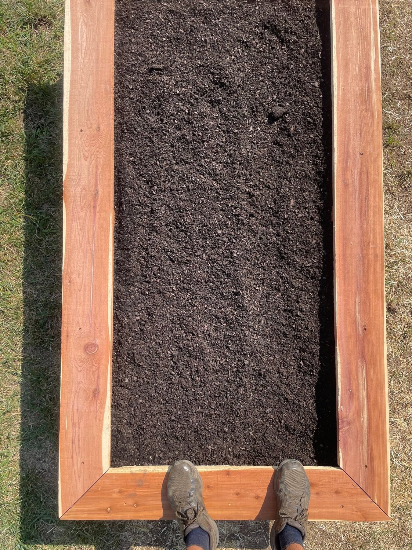Prepared garden soil and beds ready for seasonal planting by Avodah