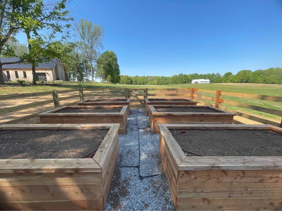 Cultivated Middle Tennessee land considered for an Avodah edible landscape