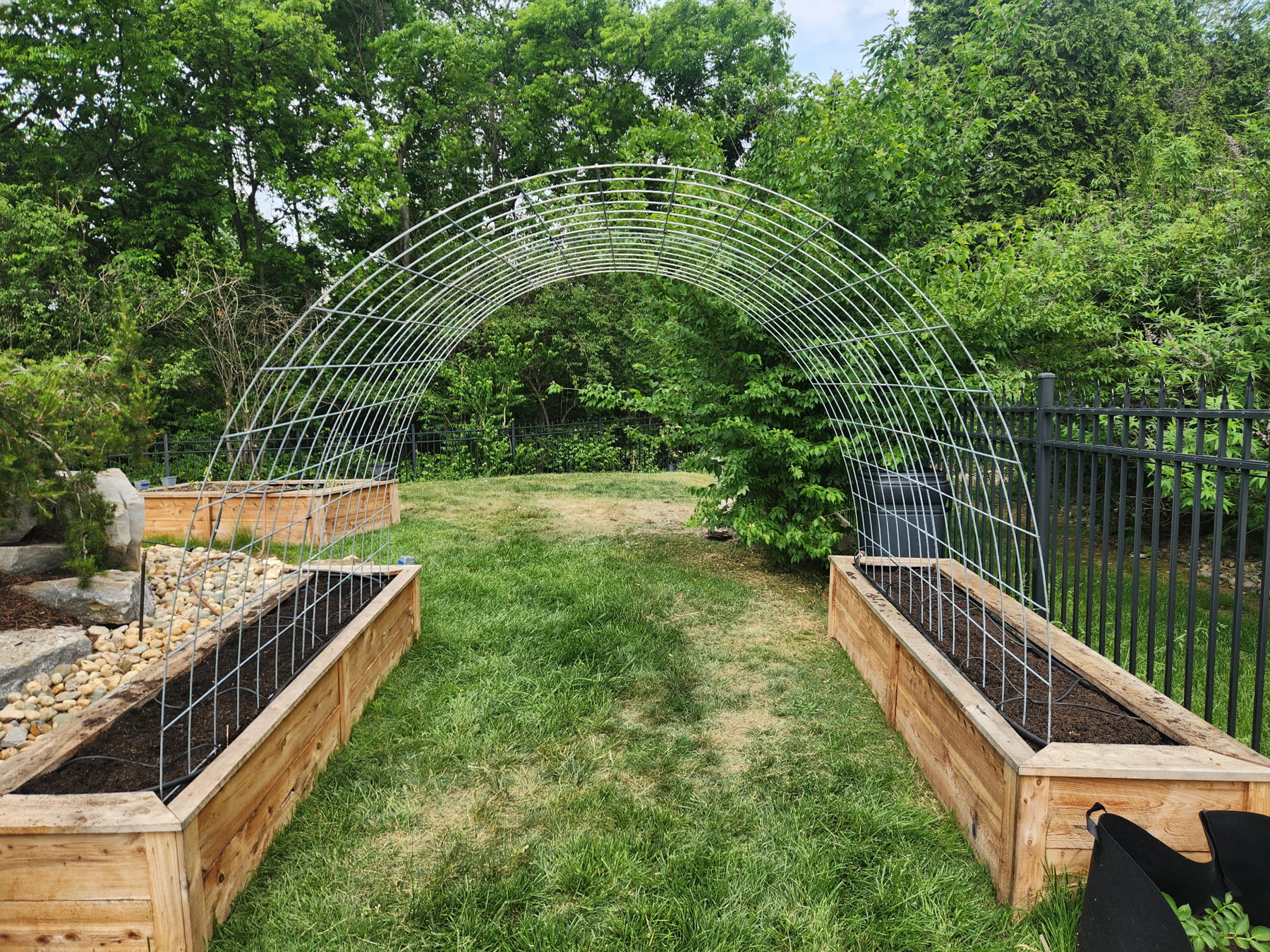 Trellis + vertical systems designed and built by Avodah in Middle Tennessee