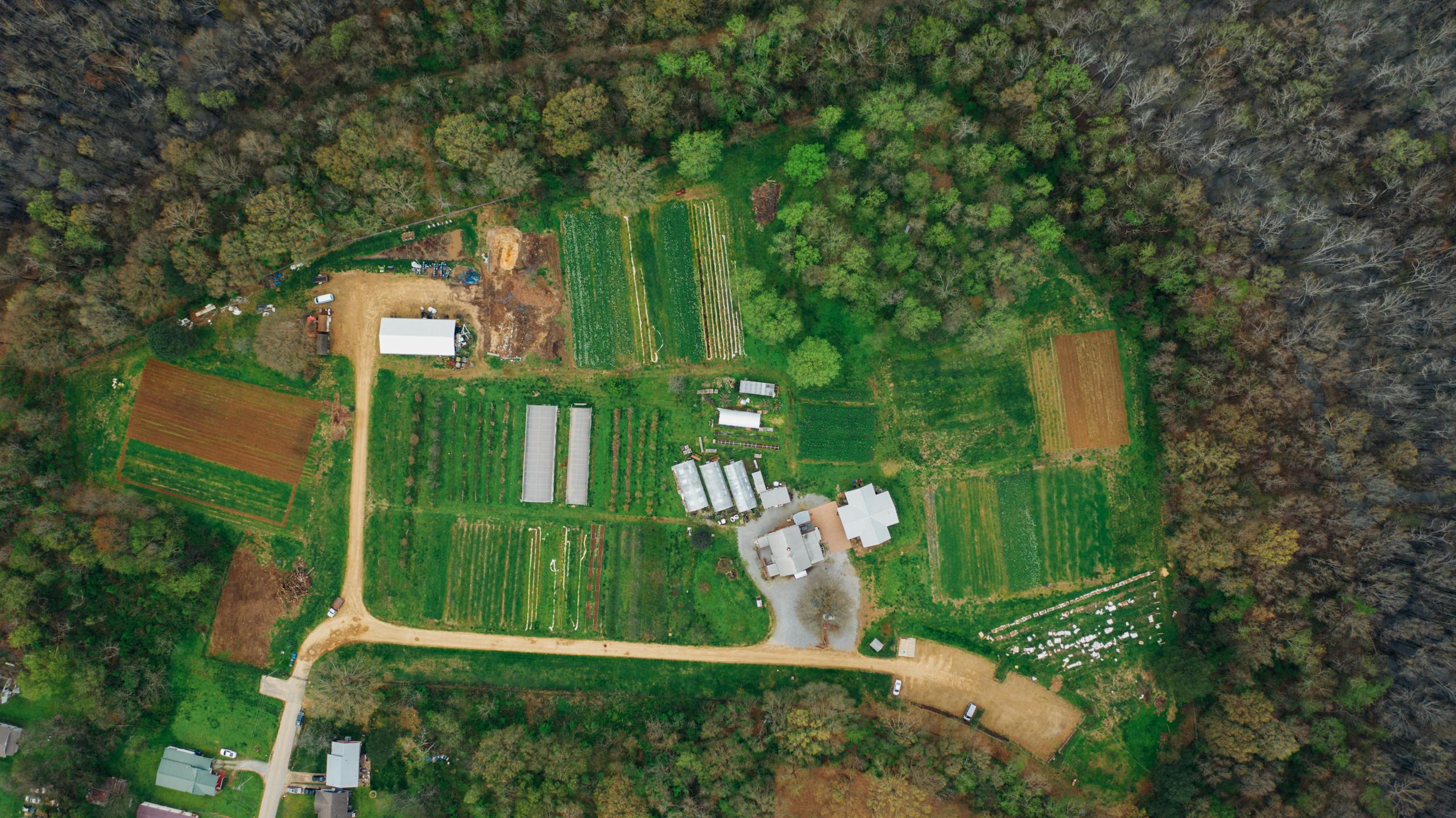 Bird's-eye view of cultivated land bordered by woodland
