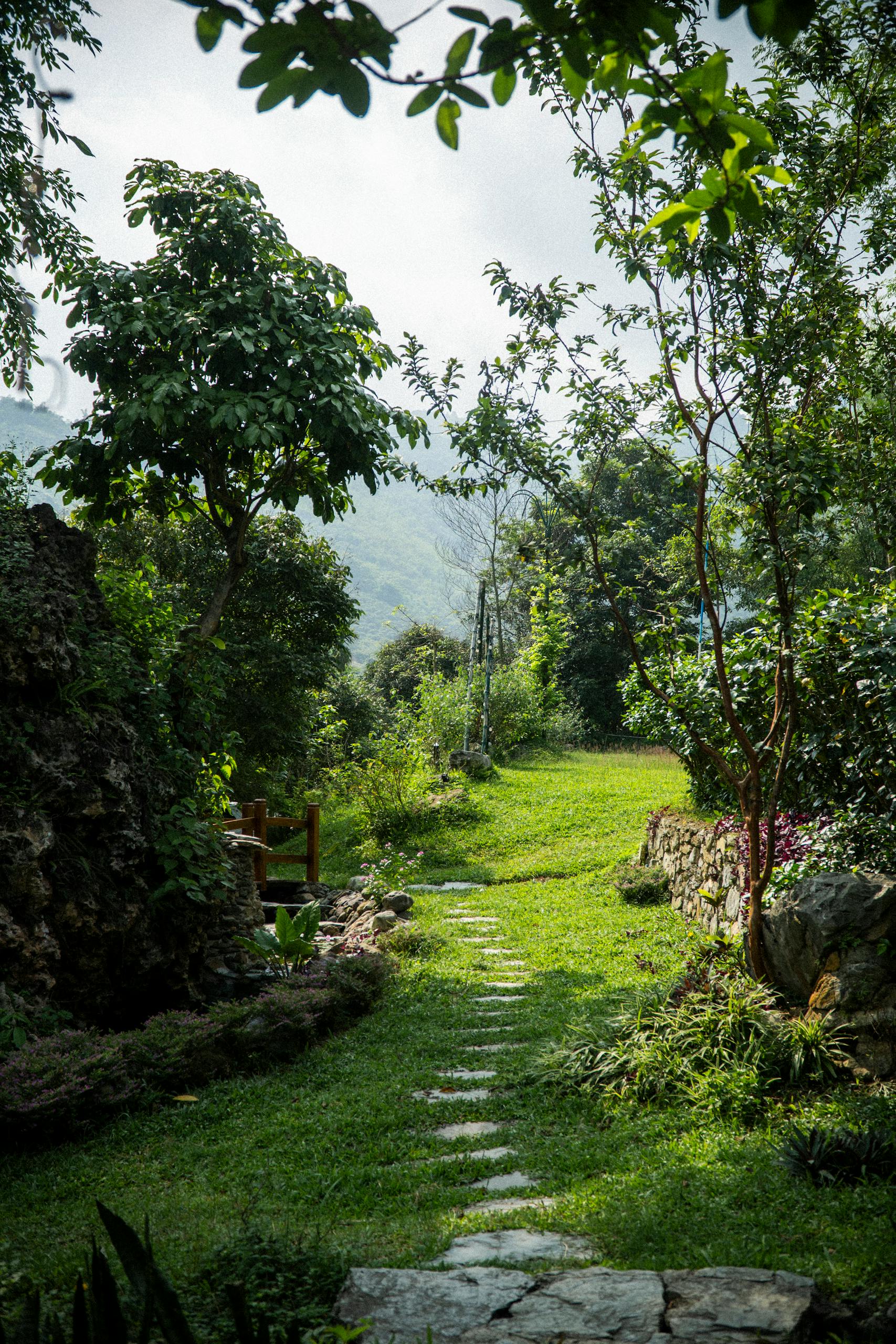 Tranquil garden path through lush greenery, perfect for relaxation and nature walks.