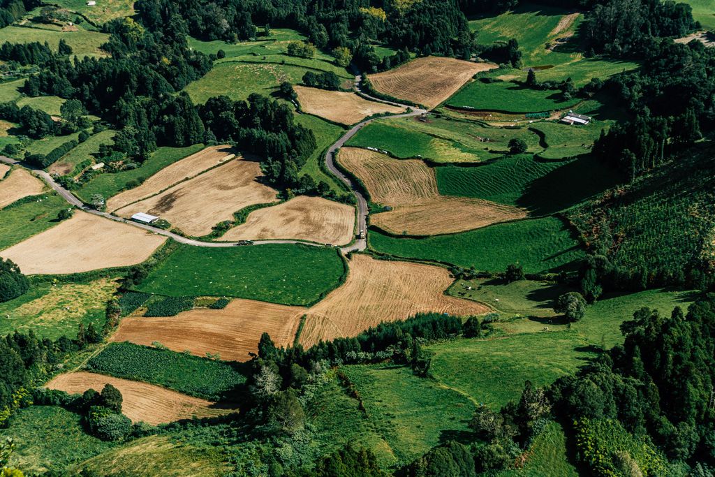 Stunning aerial view of diverse agricultural fields with green and brown patches, illustrating rural land patterns.